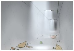 Swl,ʲô˼